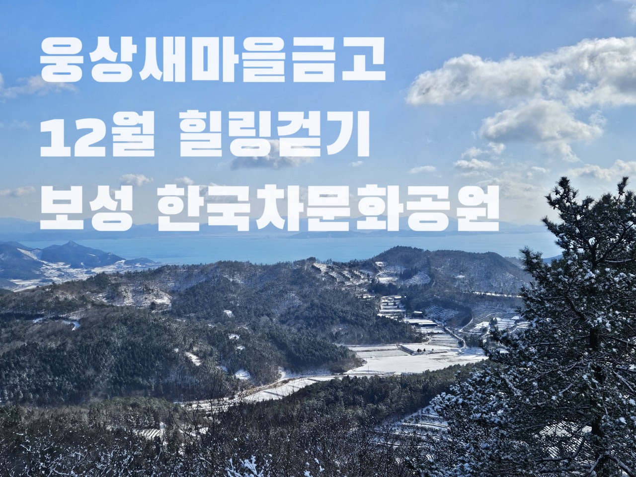 한국차문화공원.jpg